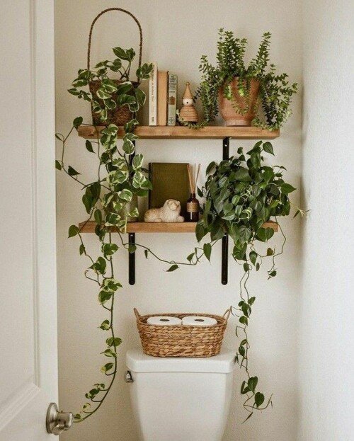 Elevate your space with a boho-chic bookshelf adorned with lush, trailing plants