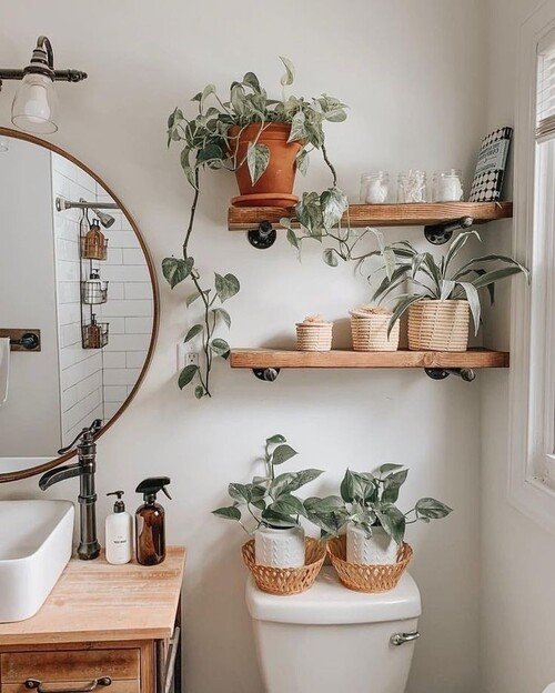 Airy floating shelves adorned with vibrant greenery