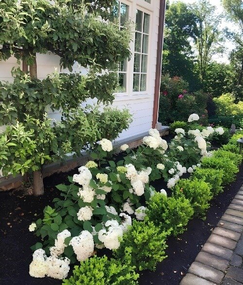 Define your plants and beds with the bold contrast of fresh mulch