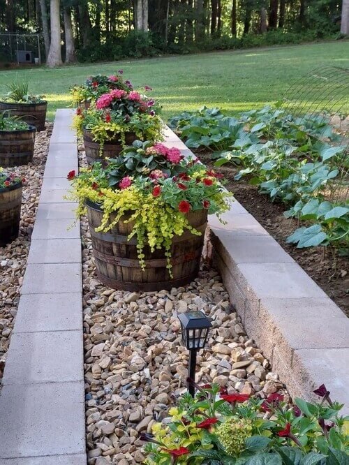 Add rustic charm to your garden by upcycling barrels into unique planters