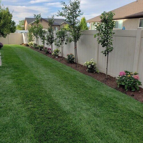 A well-manicured lawn is the foundation of elegant landscaping