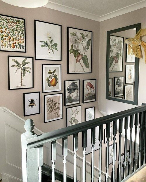 Botanical and wildlife art prints