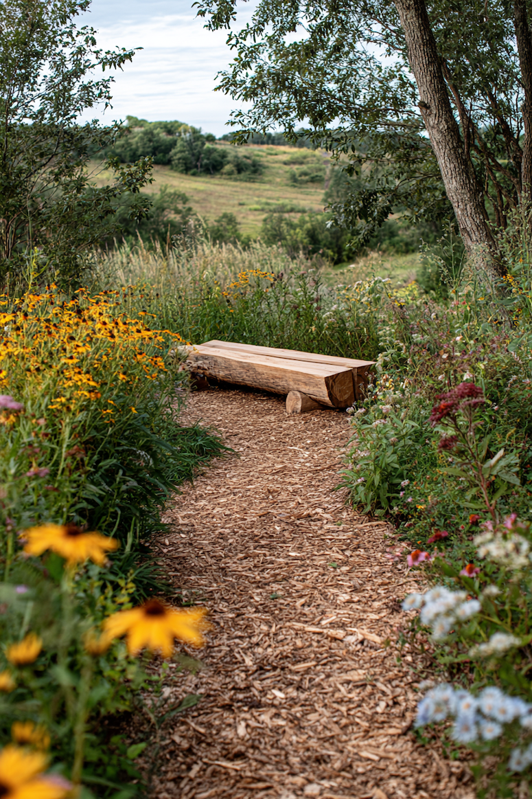 Create a charming garden walkway with a mulch path framed by blooming flower borders