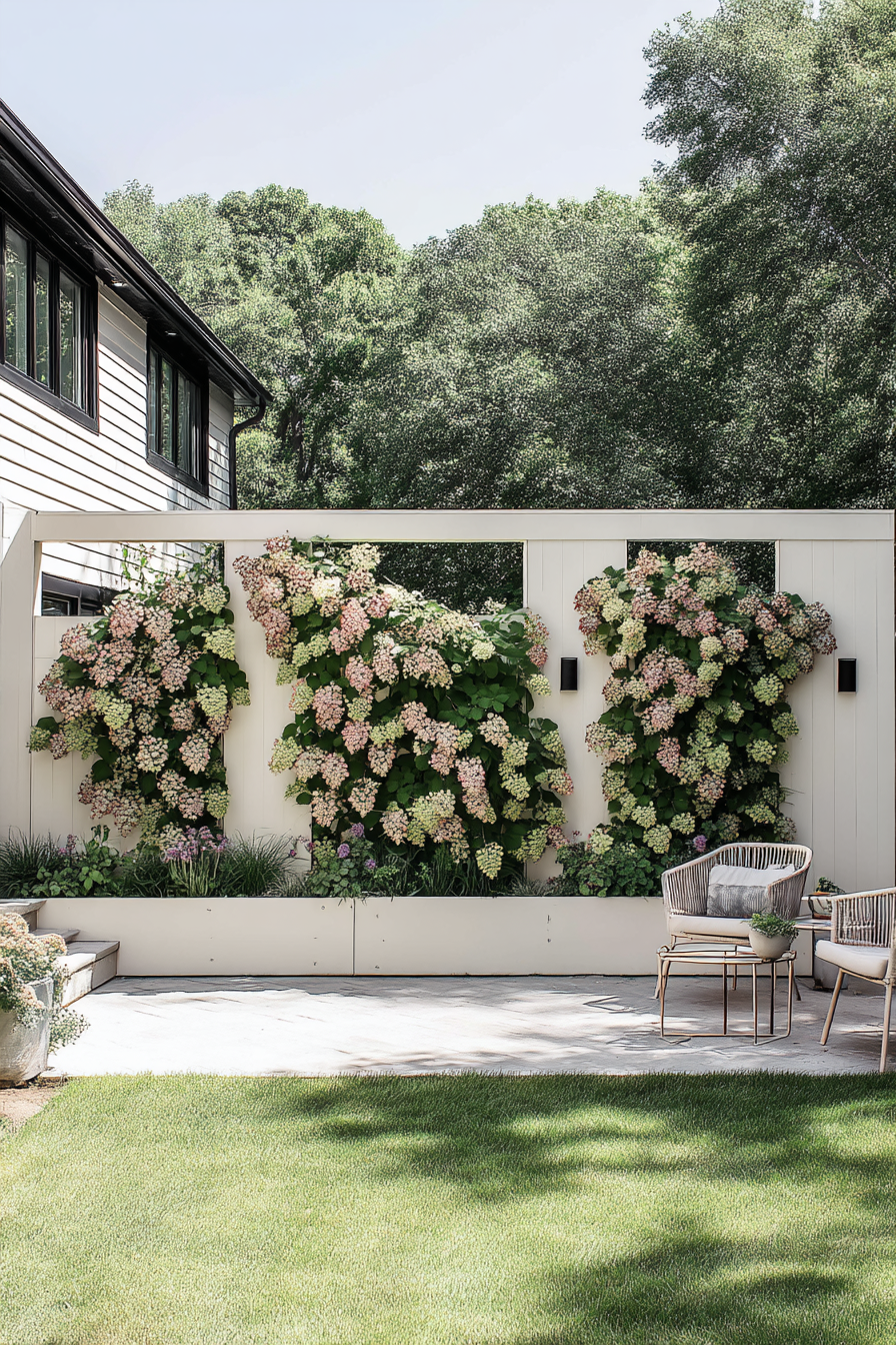 Create a stunning living screen with a lush hydrangea wall for privacy