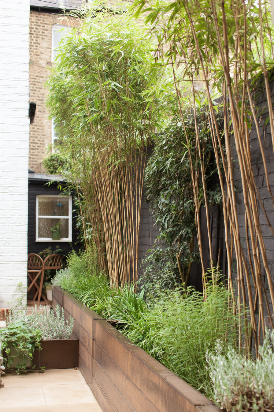 Create a private backyard retreat with lush bamboo screening
